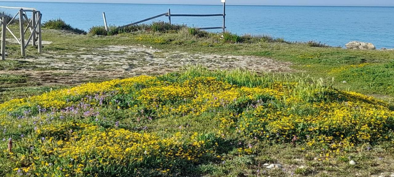 Villino Il Melograno Villa Torre Specchia Ruggeri Buitenkant foto