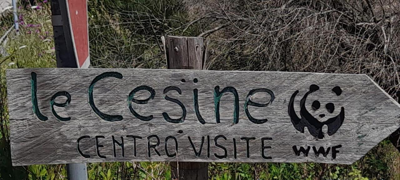 Villino Il Melograno Villa Torre Specchia Ruggeri Buitenkant foto